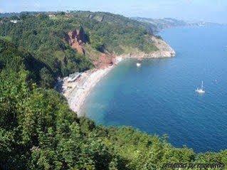 Hotel Aveland House Babbacombe à Torquay Extérieur photo